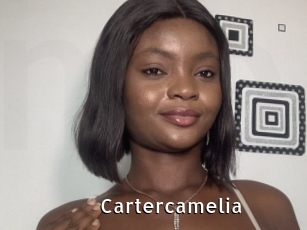 Cartercamelia