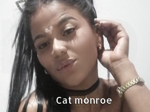 Cat_monroe