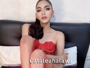 Cataleahalawi