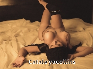 Cataleyacollins