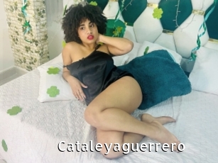 Cataleyaguerrero