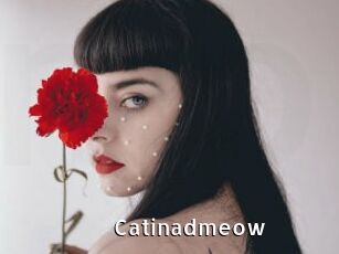 catinadmeow My Porno Stash