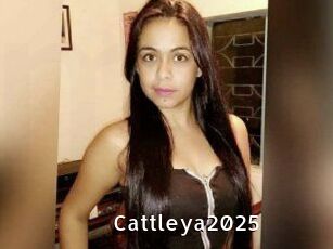 Cattleya2025