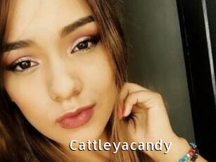 cattleyacandy My Porno Stash