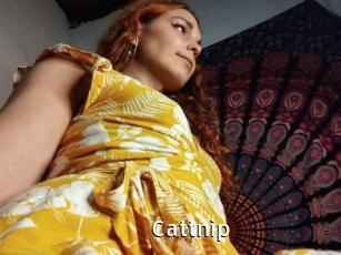 Cattnip
