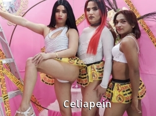 celiapein My Porno Stash