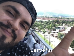 Cerverus