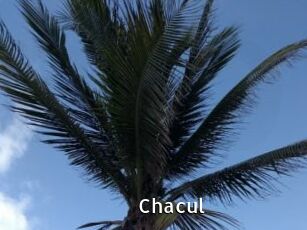 Chacul