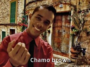 Chamo_brown