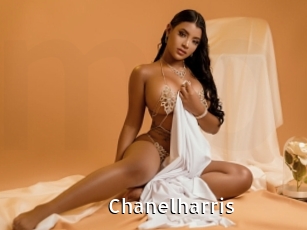 chanelharris My Porno Stash