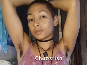 chaosfish My Porno Stash