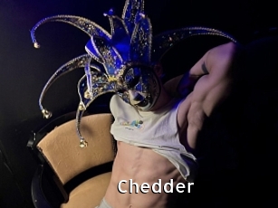 Chedder