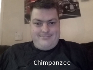 Chimpanzee