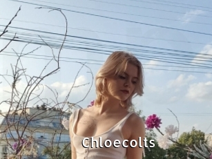 Chloecolts