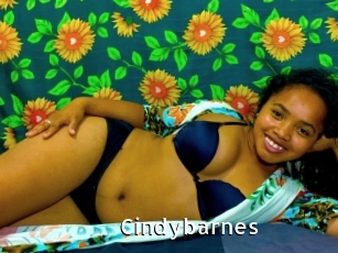 Cindybarnes