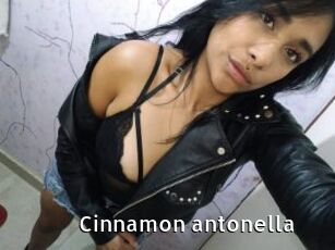 Cinnamon_antonella