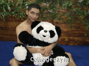 Collegegaym