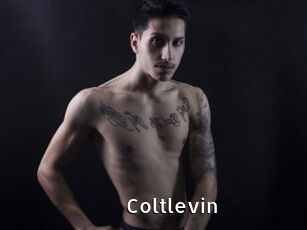 Coltlevin