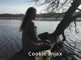 Cookie_anjax