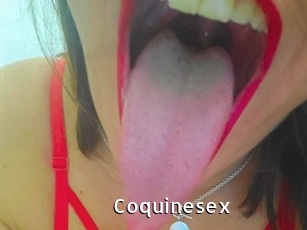 coquinesex My Porno Stash