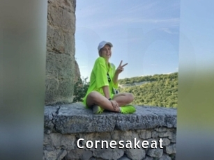 Cornesakeat