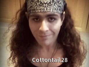Cottontail28