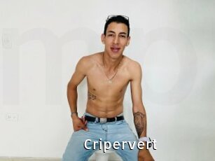 cripervert My Porno Stash