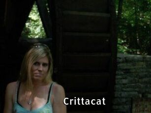 Crittacat