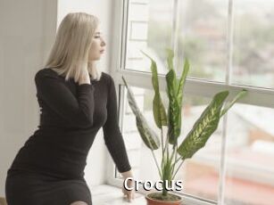 Crocus