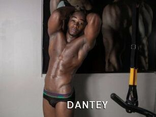 DANTE_Y