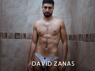 DAVID_ZANAS