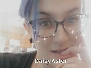 DaisyAster