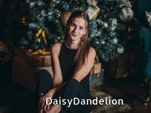 DaisyDandelion