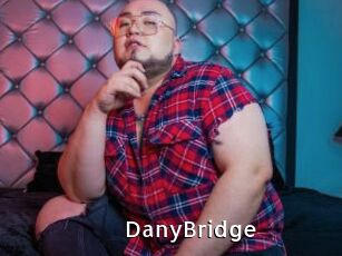 DanyBridge