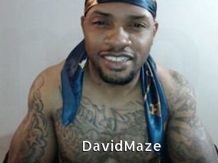 David_Maze