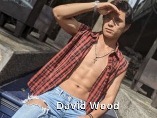 David_Wood