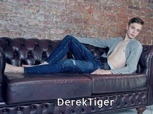 DerekTiger
