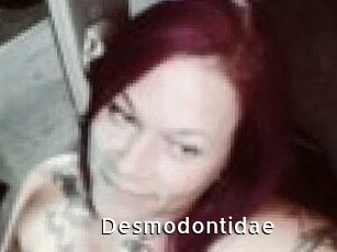 Desmodontidae