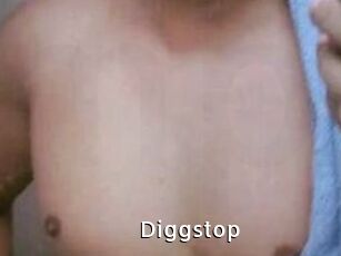 Diggstop