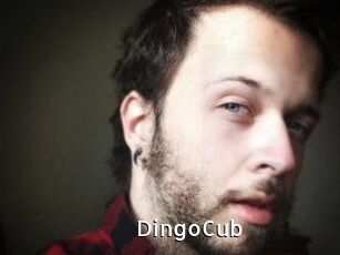 DingoCub