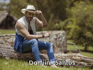 DomiinicSantos