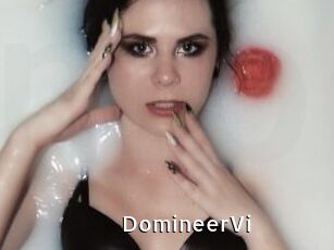 DomineerVi