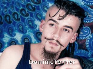 DominicTerrier