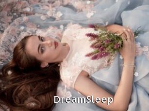 DreamSleep