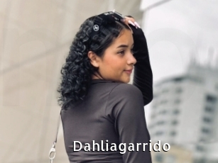 Dahliagarrido