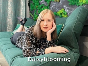 Daisyblooming