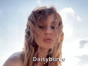 Daisyburge