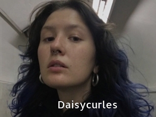 Daisycurles