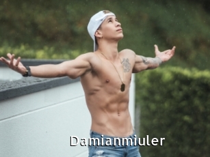 Damianmiuler
