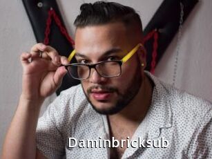 Daminbricksub